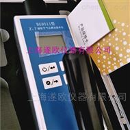 BS9511BG9511辐射空气吸收剂量率仪