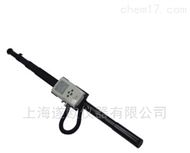 SIM-MAX 100G-T伸缩杆x、γ剂量率仪
