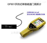 GF601单维磁通门高斯计