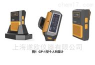 GP-1伽玛个人剂量计