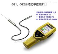 G91G92手持式单维高斯计