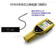 GF603手持式三维磁通门高斯计