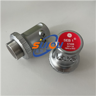 SEB1探头