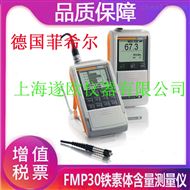 FMP30铁素体检测仪