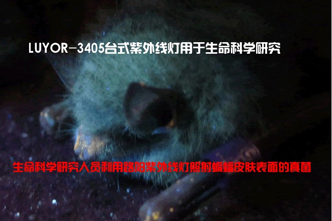 LUYOR-3405台式紫外线灯/紫外线发生器