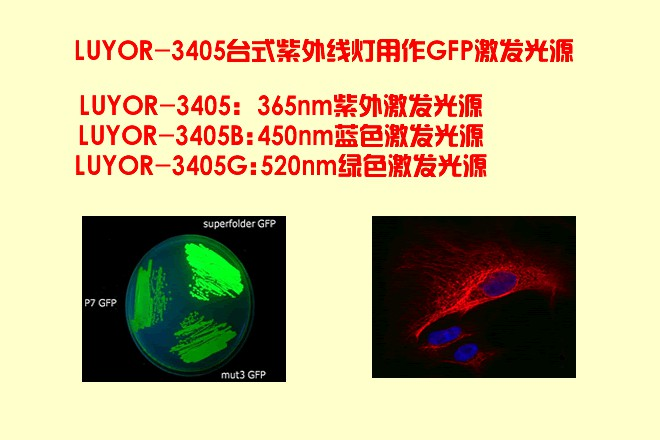 LUYOR-3405台式紫外线灯/紫外线发生器