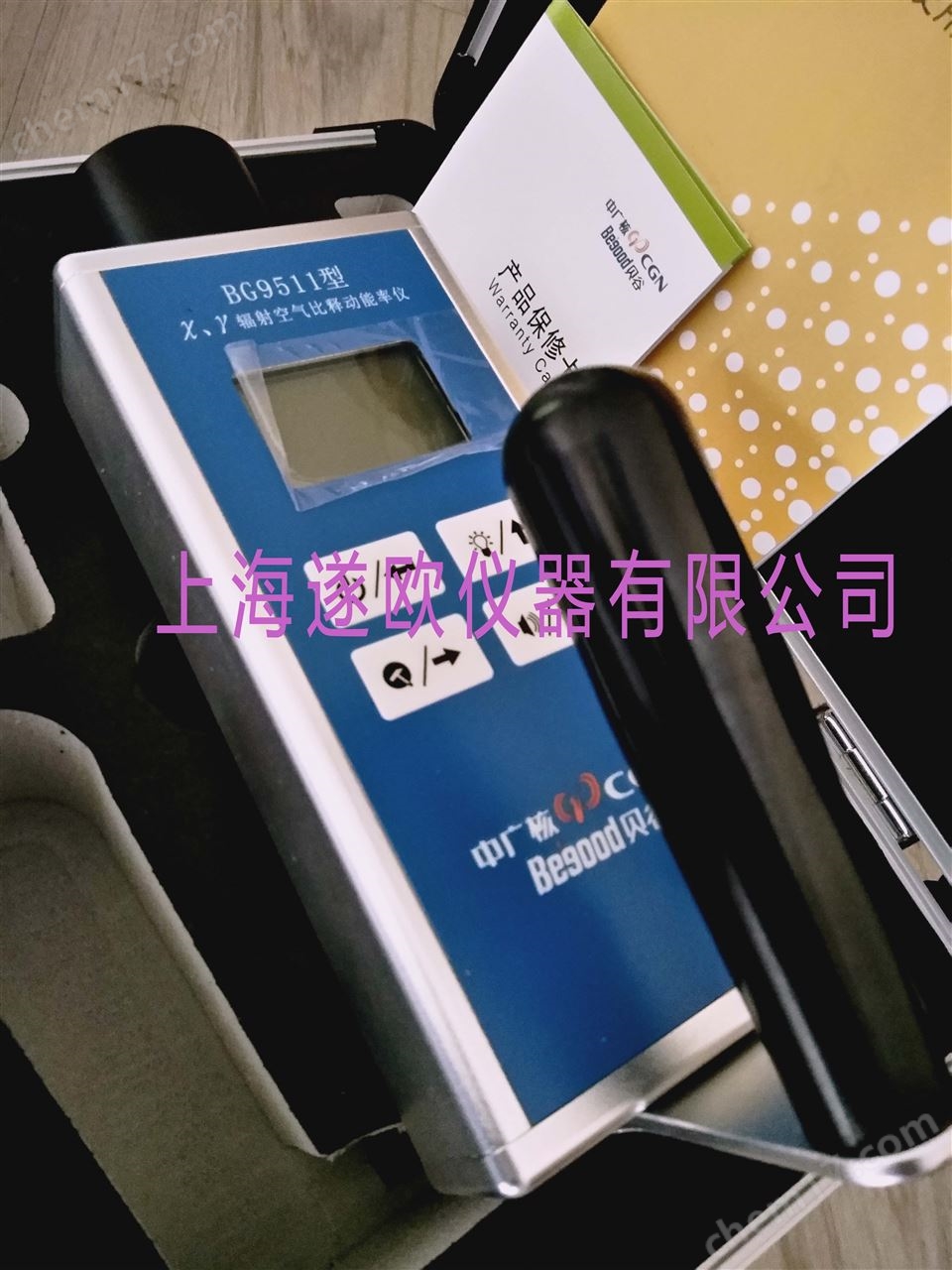 BG9511型X、γ吸收剂量率仪