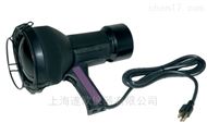 FC-150/FA风冷高强度自镇流紫外灯